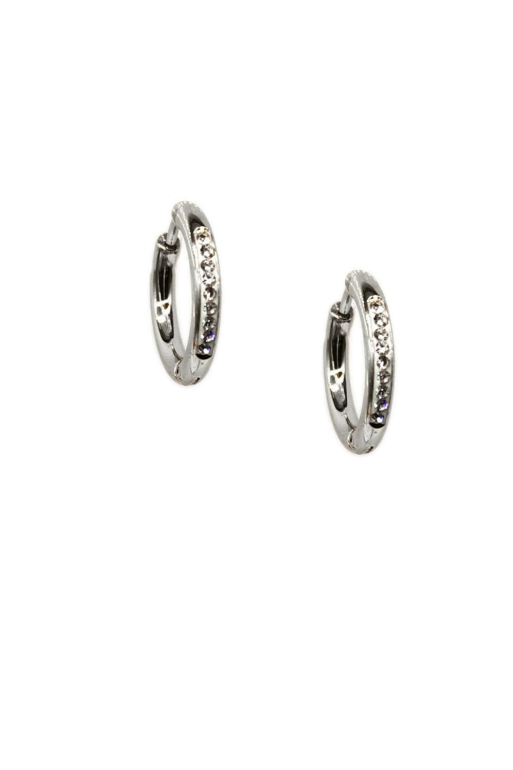 Silver Stainless Steel Small Hoop Earrings