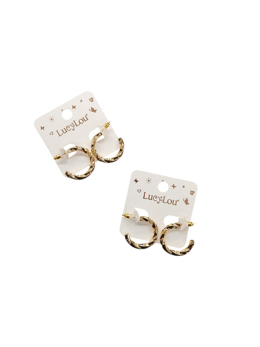 Women's Casual Hoop Earrings