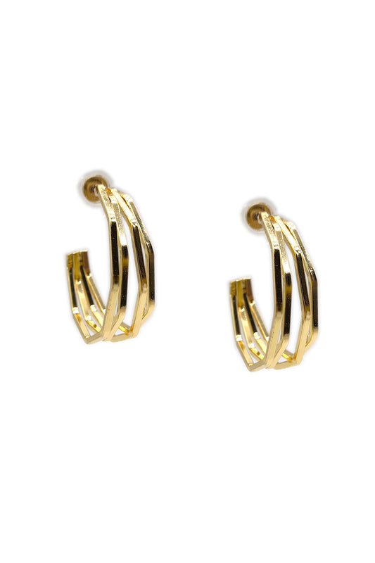 Double Hoop Fashion Earring