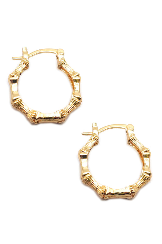 Bamboo Design Hoop Earrings