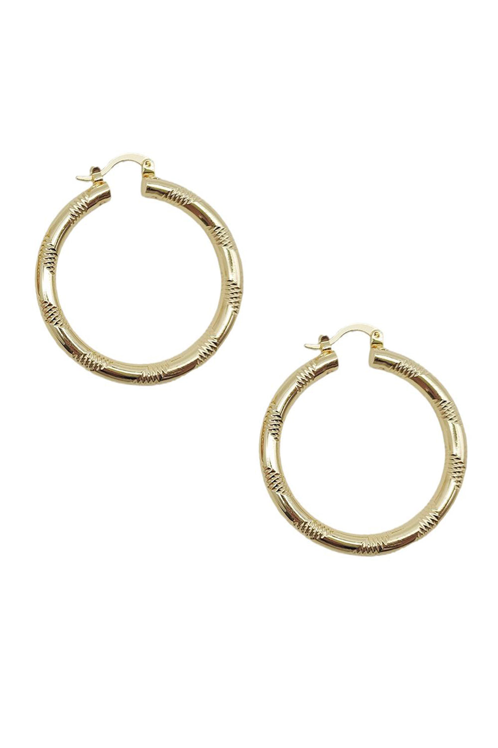Gold Dipped Hoop Earring