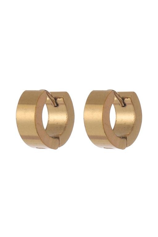 Gold Stainless Steel Small Hoop Earrings