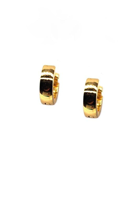 Gold Stainless Steel Small Hoop Earring