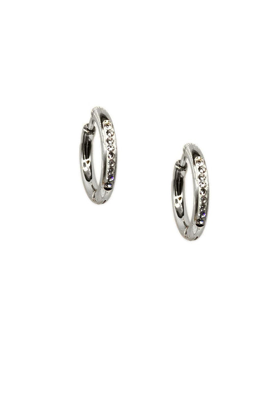 Silver Stainless Steel Small Hoop Earrings